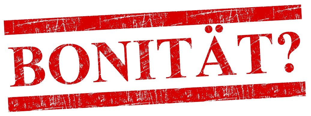 Baufinanzierung persönliche Bonität